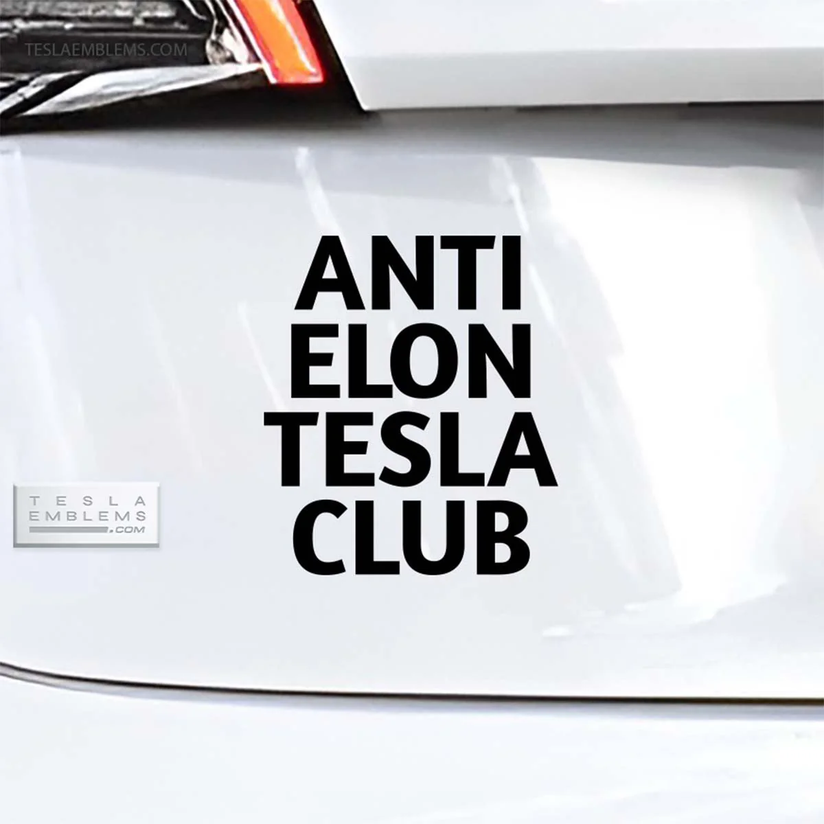 Anti Elon Tesla Club | Cut Vinyl Letters Sticker - Image 2