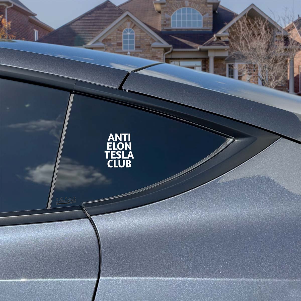Anti Elon Tesla Club | Cut Vinyl Letters Sticker - Image 3