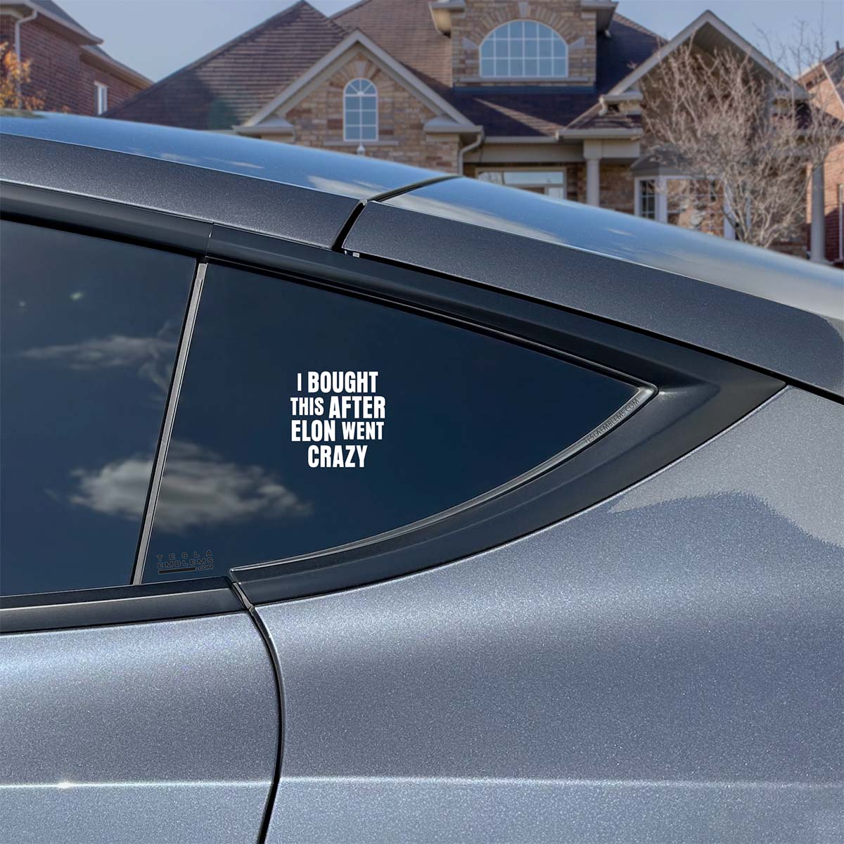 I Bought This After Elon Went Crazy | Cut Vinyl Letters Sticker - Image 2