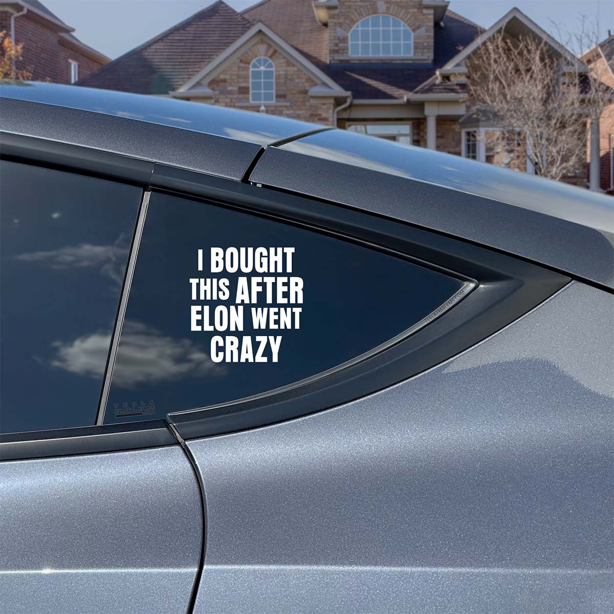 I Bought This After Elon Went Crazy | Cut Vinyl Letters Sticker - Image 4