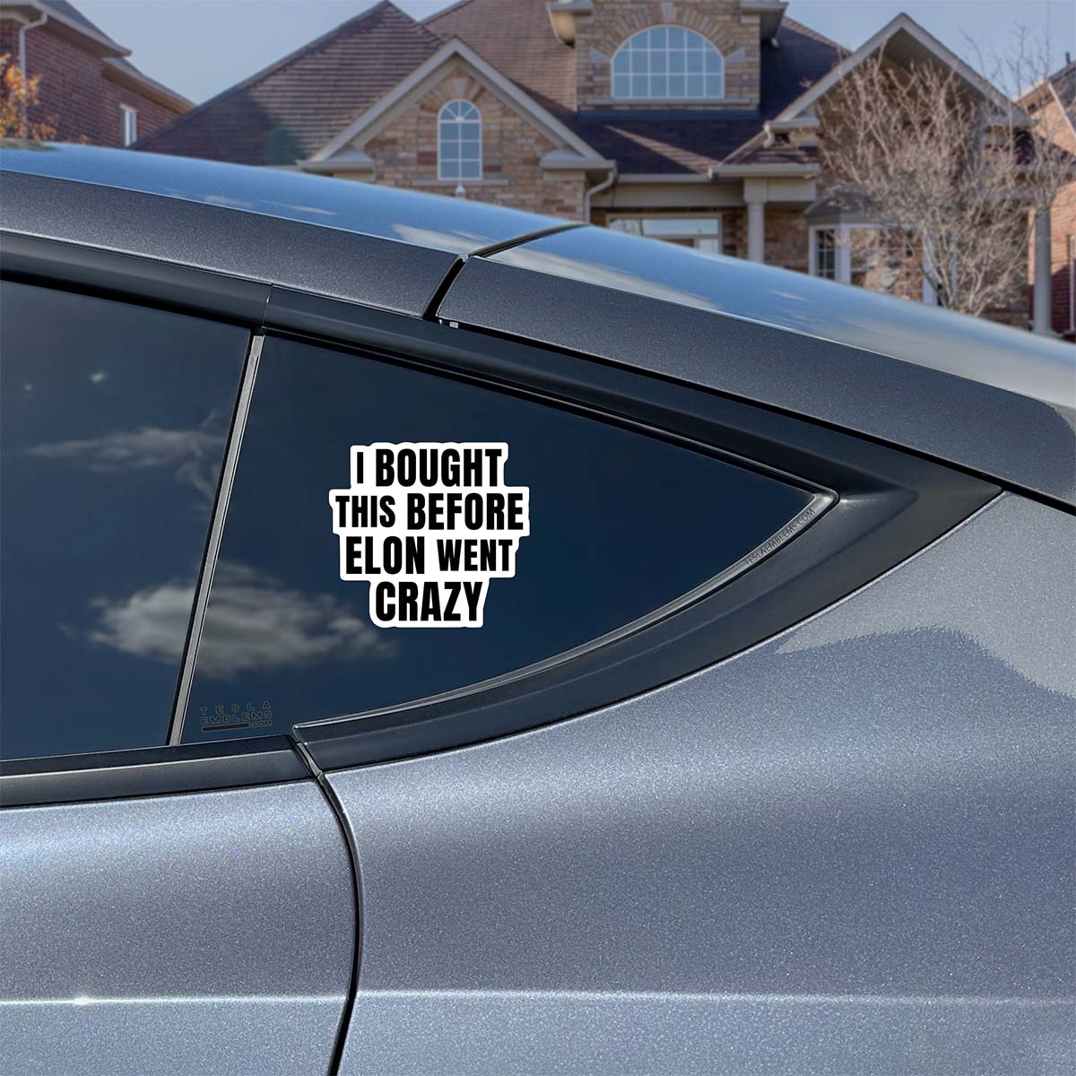 I Bought This Before Elon Went Crazy Vinyl Decal Sticker - Image 4