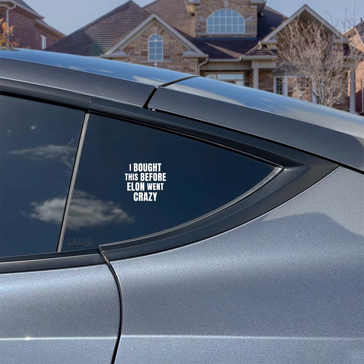 I Bought This Before Elon Went Crazy | Cut Vinyl Letters Decal - Image 4