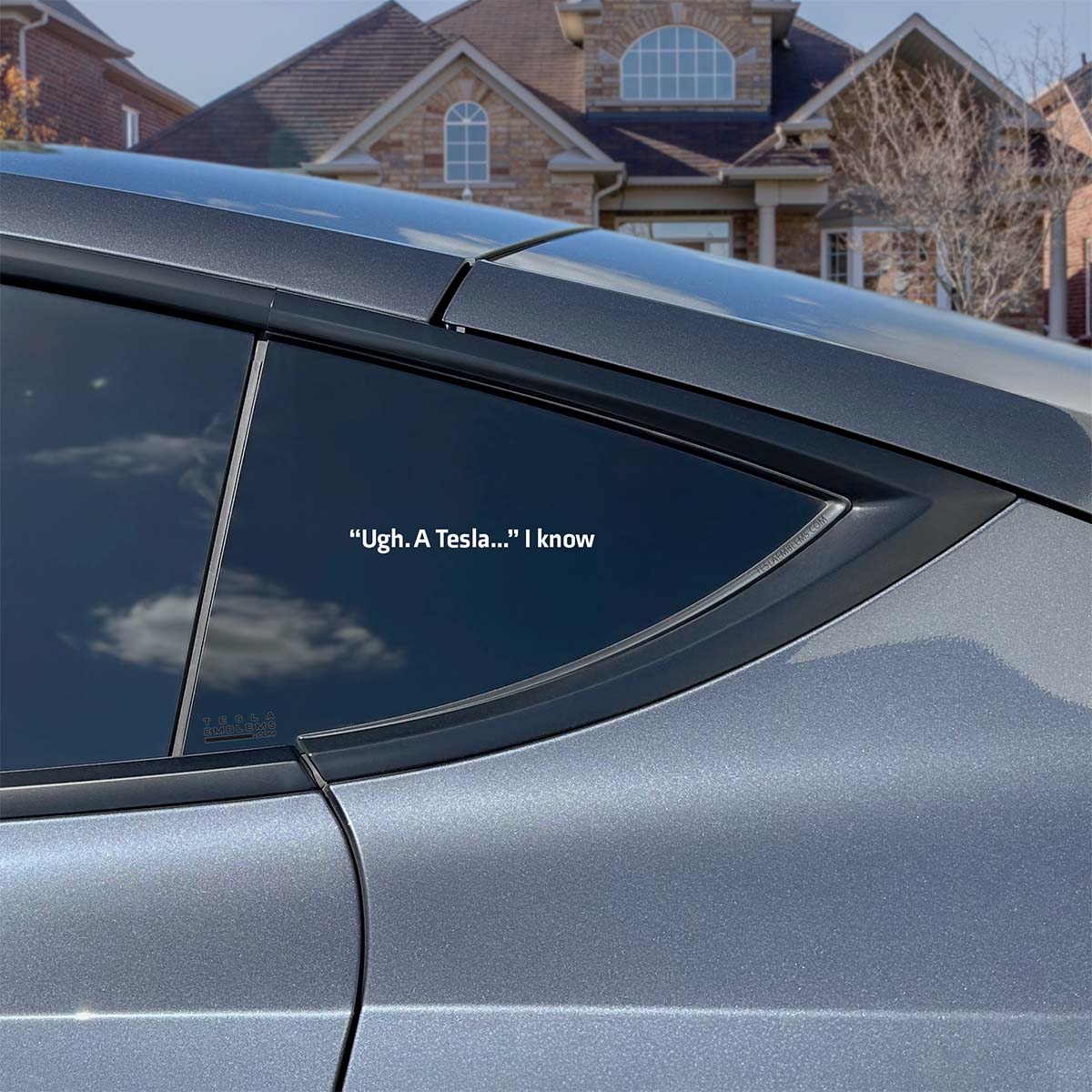 Ugh. A Tesla... I Know | Cut Vinyl Letters Decal - Image 4